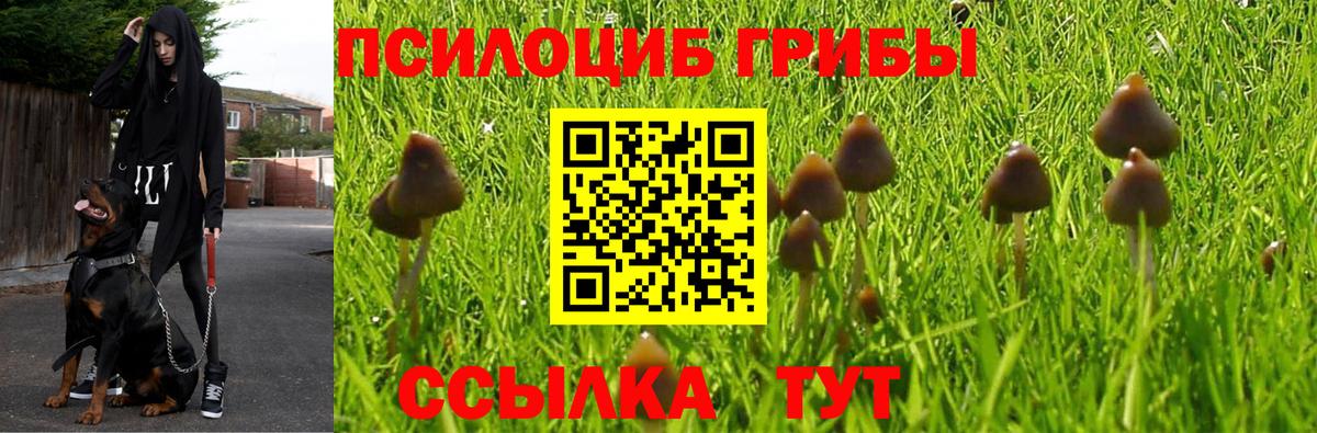 Галлюциногенные грибы MAGIC MUSHROOMS  Вход с VPN  Псилоцибиновые грибы мицелий  Арзамас 